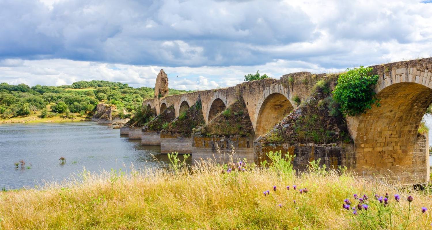 ponte-sra-ajuda-1500x800.jpg